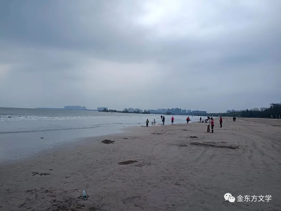 《金东方文学》（总871期）《平书宪散文诗选：走近一朵花，倾听春天的奏鸣》
