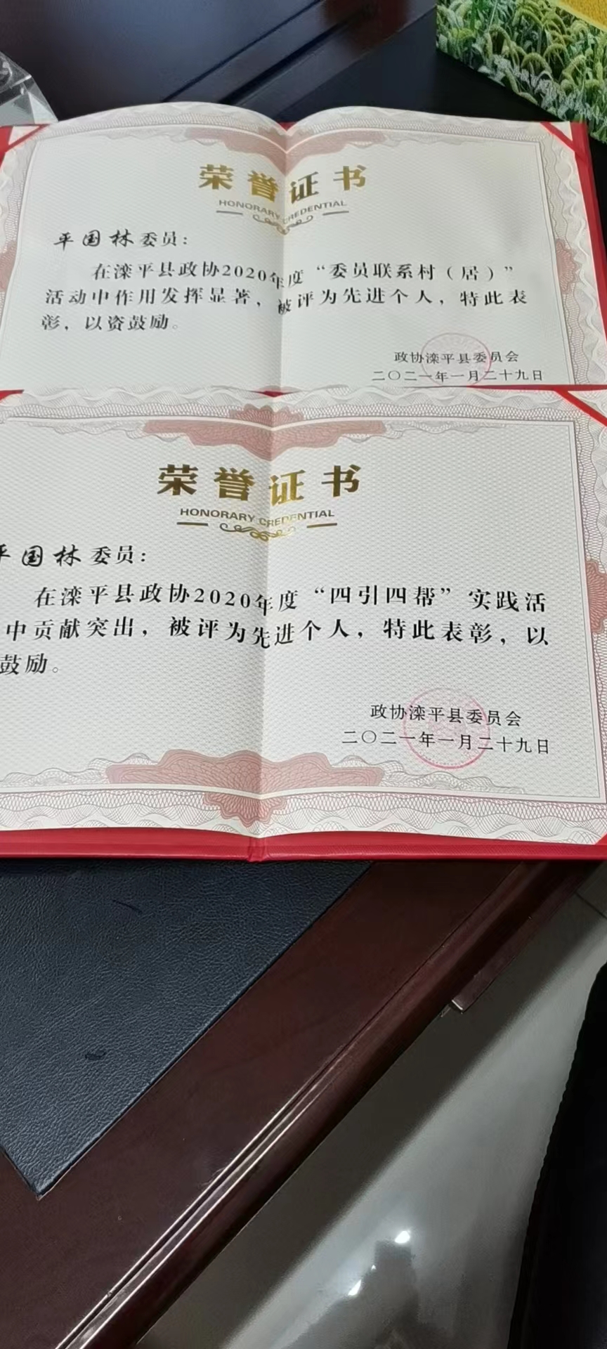 “千名优秀退役军人”风采展示--平国林